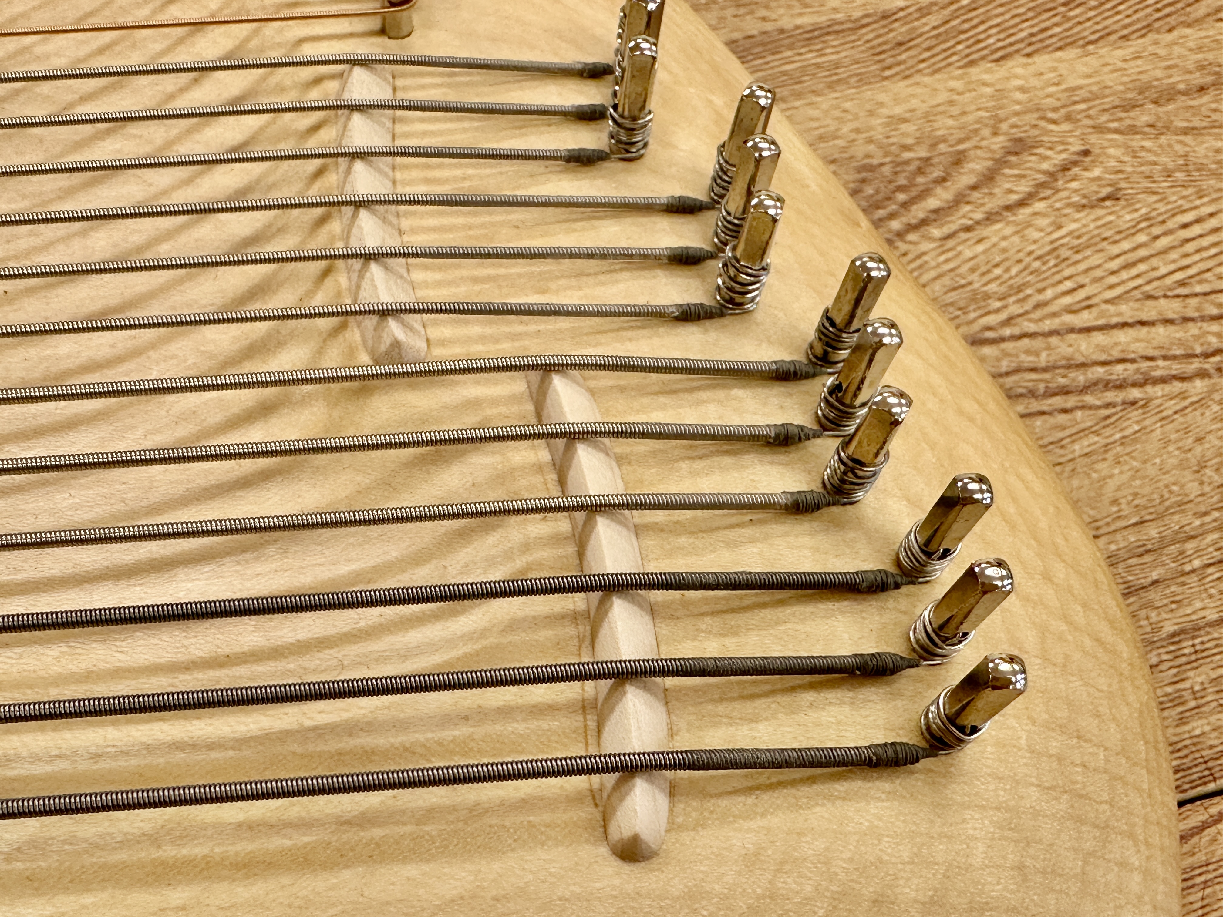 弦のクローズアップ